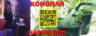 гидропоника Ирбит