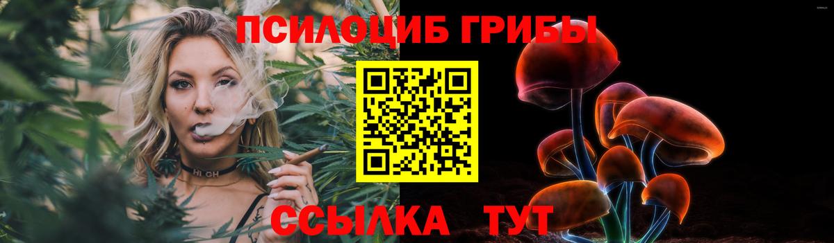 Псилоцибиновые грибы GOLDEN TEACHER Лабинск